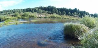 Рыбалка на реке Летка в Кировской области — отчет с видео